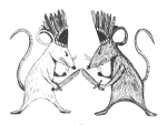 greta white vs brown mice war