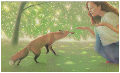 wild fox snag 2