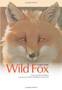 wild fox