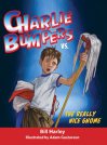 charlie bumpers nice gnome