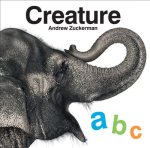 abc