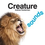 sounds