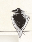 The Lonely Crow a poem © Joshua McCaw