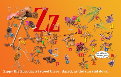 Z