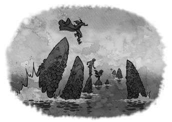 Rye Crossing Barnacle-Covered Rocks