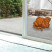 WIGU_VET_FINAL_page32_image18