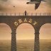 crazy cover