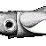 squid