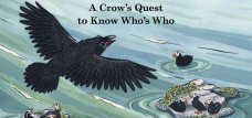 bartholomew quill cover