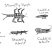 Aquatic Bugs Drawing