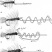 Clinch Knot Drawing