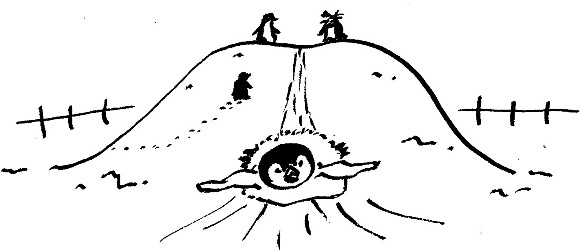 picture-1