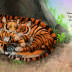 baby-animals-tiger
