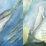 whale-spread